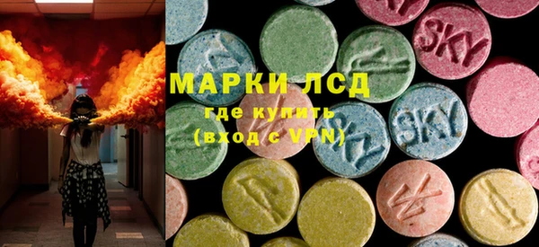 хмурый Алзамай
