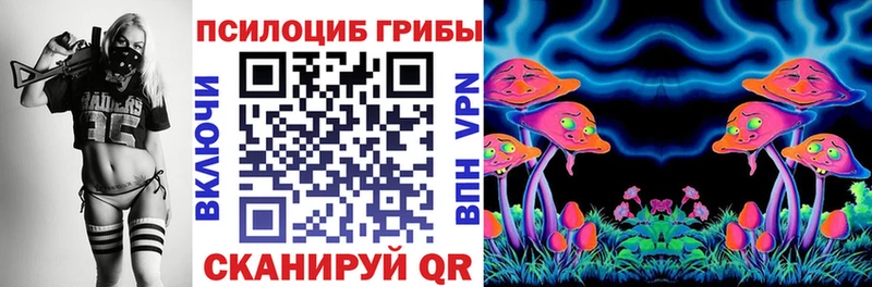 Псилоцибиновые грибы Psilocybine cubensis  Ардатов 